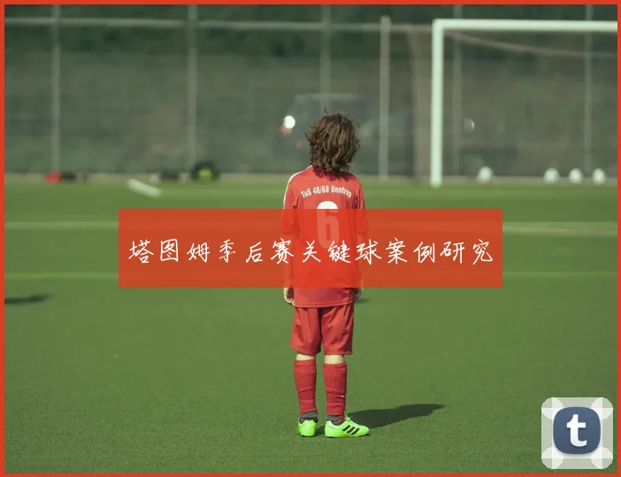 塔图姆季后赛关键球案例研究