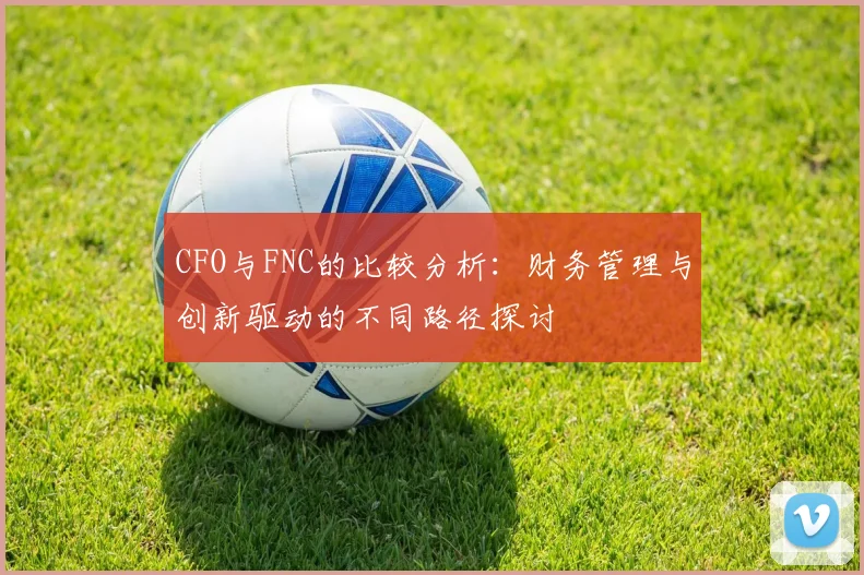 CFO与FNC的比较分析：财务管理与创新驱动的不同路径探讨